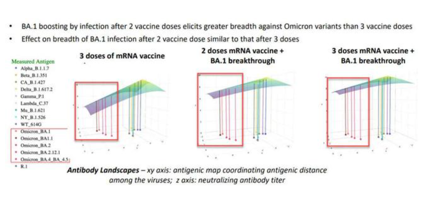 A world first! UK first to approve new crown vaccine specifically for Omicron