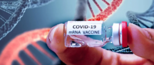 How can I make an appointment to receive the bivalent mRNA vaccine in Hong Kong at my own expense?