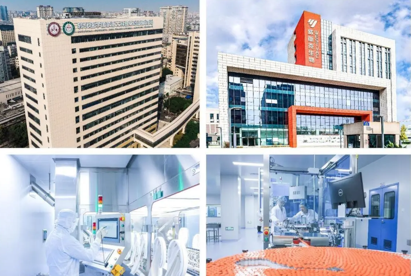 There is a new development! The recombinant new crown protein vaccine developed by Sichuan University West China Hospital is scheduled to be vaccinated in Chengdu from the 13th