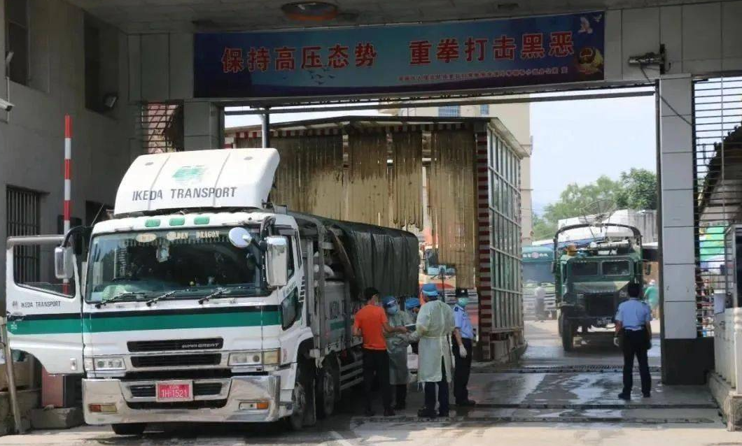 Yunnan Ruili port fully restored cargo customs clearance of the first batch of imported raw materials of traditional Chinese medicine smooth entry